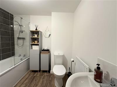 Picture 17